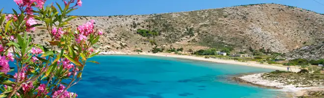 Psara