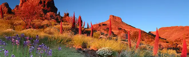 Tenerife
